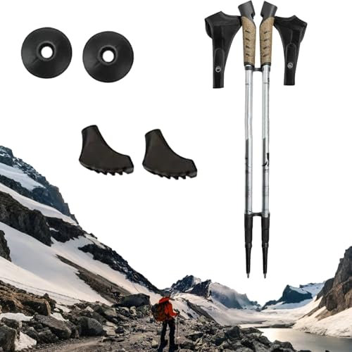 Nordic Walking Carbon Stöcke mit Korkgriffen, 1 Paar Stöcke. Sicherer, Leichter, Stabiler und Haltbarer Als Fadenscheinige Stöcke(Silver)