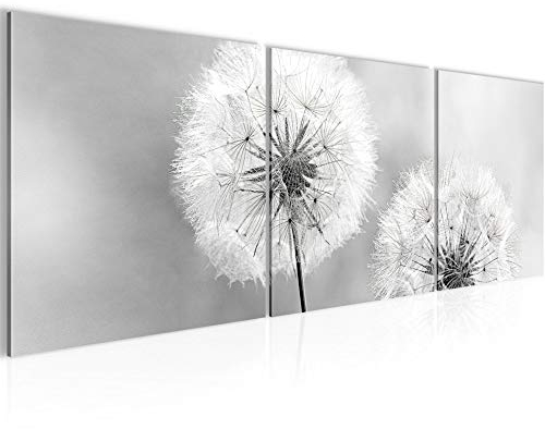 Runa Art Bilder Pusteblume 3 Teilig Bild auf Vlies Leinwand Deko Wohnzimmer Schlafzimmer 90 x 30 cm Natur Schwarz Weiss 207134c