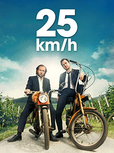 25 km/h