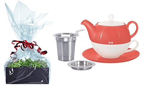 Buchensee Tee Geschenk Set, Tea for One mit Sieb Lena coralrot 500ml aus Porzellan. Teekanne + Teetasse + Untertasse + Sieb mit Abtropfschale