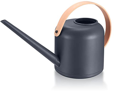 Annaffiatoio per piante da interno, piccolo annaffiatoio da 1,7 litri, 50 once, 1/2 gallone, con beccuccio lungo, per piante in vaso da esterno, giardino di erbe, fiori, grigio chiaro