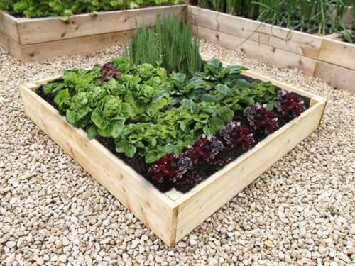 Quickcrop Allotment Raised Beds - 17.5cm High (90cm x 90cm)