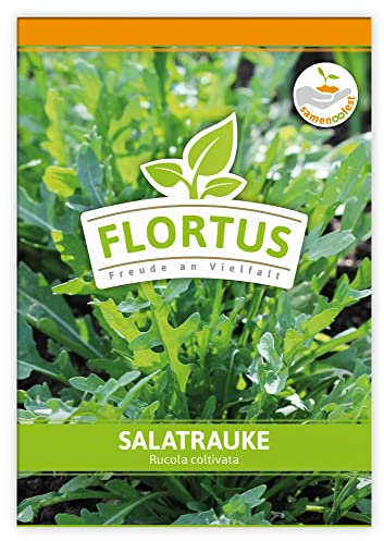 FLORTUS Salatrauke | Kräutersamen | Raukesamen | Rucolasamen | Samen zur Anzucht für Garten, Balkon, Küche & Fensterbank