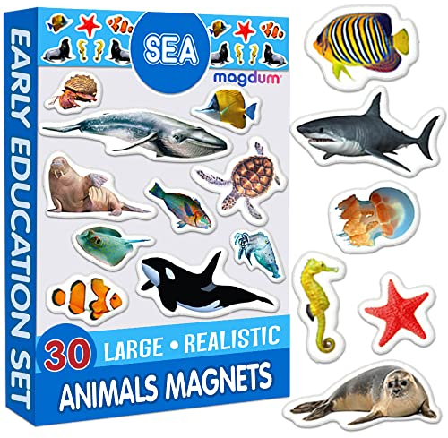 Kühlschrankmagnete für Kinder magdum Meerestiere Foto – 30 große Kühlschrankmagnete für Kinder – Magnete für Kühlschrankmagnete für Kleinkinder – großer Magnet – Kinder-Kühlschrankmagnete