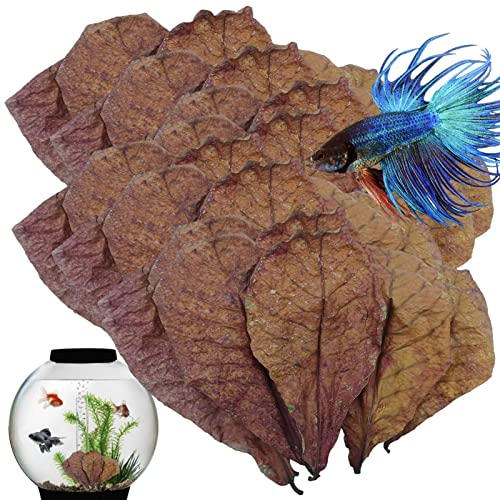 Aquarium-Katappa-Blätter – natürliche Terminalia-Catappa-Blätter, Betta-Garnelen-Pflege, Mandelblätter, pH-Balance, Wasseraufbereiter, Behandlungen für Aquarien, Schildkröten, Garnelen, Wels und
