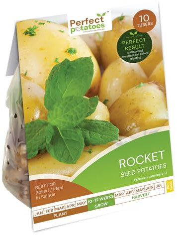 Rocket Seed Potatoes - 10 Premium Tubers for Boiling, Roasting & Salads – Early Harvest, Suitable for All Gardeners - for Your Vegetable Garden