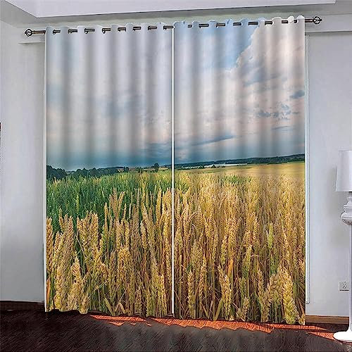 Vorhang Blickdicht Gardinen Mit Ösen - 2 Stücke Verdunklungsvorhänge 3D Himmel Reis Muster Thermovorhang Für Schlafzimmer Wohnzimmer Weihnachtsgardinen-3W1S6I3P6R3