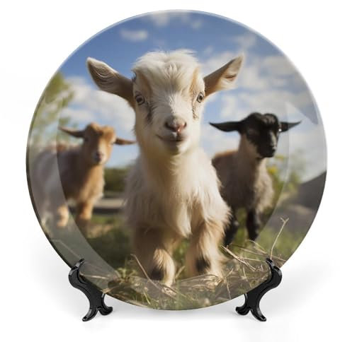 Grandes assiettes décoratives en porcelaine de chèvre mignonne de 25,4 cm pour présentation - Assiette désert en céramique avec présentoir - Assiette en porcelaine personnalisée pour cuisine, salle à