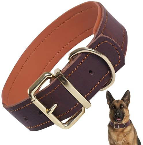 Echtes gepolstertes Lederhalsband, verstellbar für Großhunde (Braun XL) | Geeignet für mittelgroße, große und sehr große Rassen