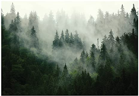 Carta Da Parati Fotografica Foresta Nebbia Alberi - Include Colla - Moderna Design Carta per Pareti Soggiorno Camera Da Letto Sala Fotomurali In Tessuto Non Tessuto TNT (368x254 cm - 4 Strisce)