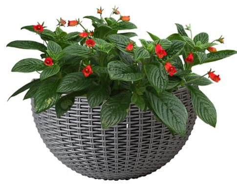 Wandtöpfe für den Innenbereich, Wandtöpfe aus Rattanimitat für Blumen, eleganter Behälter für den Innenbereich, modernes Ornament für Petunien, Impatiens, Pothos, Orchideen, Begonien