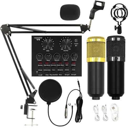 Kit Di Trasmissione In: Set Microfono A Condensatore, Attrezzature Di Registrazione, Da Studio Professionali, Strumenti Podcast | Kit Audio Facile Da Usare Con Supporto Regolabile Per