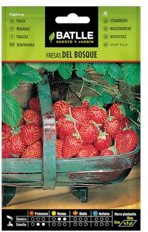 Semillas Batlle 097335BOLS