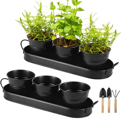 2 juegos de jardín con bandejas y herramientas de metal negro, macetas redondas para hierbas y suculentas, ideal para interiores y exteriores, balcón, alféizar de ventana