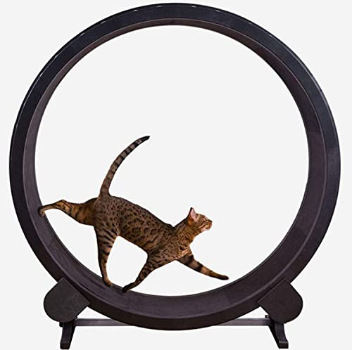 KFGISD, 48 tums löpband for husdjur, supertyst löpband for katter, aktivitetsträd for katter, for löpning, snurrning och klösande,Hund- och kattlöpband