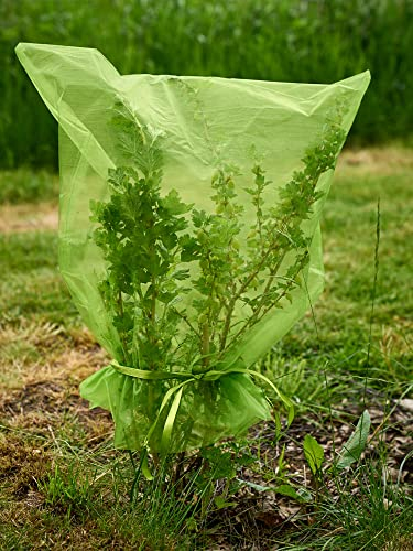10 Frucht-Schutzbeutel mit Zugband. Zum Schutz vor Wespenfrass, Vögeln, Kirschessigfliege, Anderen Insekten und Schnecken. - moosgrün. Traubenschutz, Organzabeutel (64x56 cm)