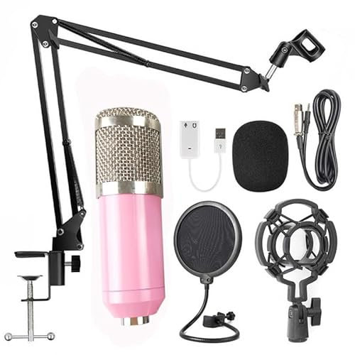 SSDDLZEQ Condenser Microphone Vocal Microphone Set For Singing, Church, Classroom, Wedding, Lecture, Conference