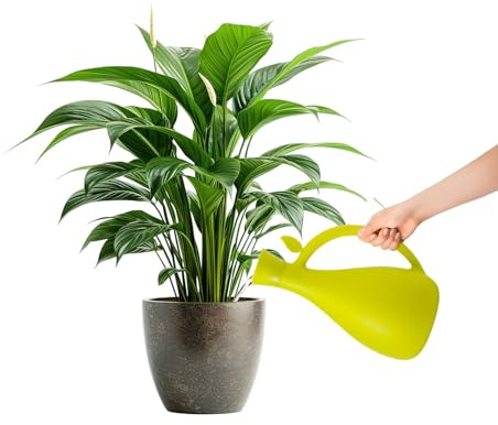 Zendea Arrosoir pour plantes en plastique vert résistant 13,2 x 10,5 cm - Idéal pour prendre soin des plantes et des fleurs dans le jardin, le balcon ou la terrasse - Bec long et fin et capacité 1,6 L