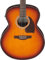 Ibanez PJ50E-OAH - Westerngitarre