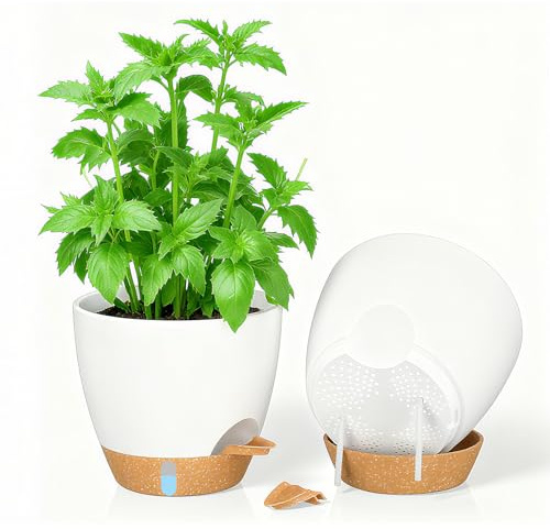 SenaiMy Juego de 2 macetas pequeñas Blancas 20 cm, autorriego con indicador Nivel Agua y Labio de riego. Macetas de plástico para jardín, Oficina, alféizar, Interior y Exterior