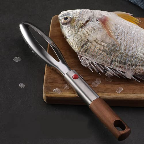 SPORTARC Fish Scaler Brush Fish Scaler Remover with Stainless Steel Sawtooth Easily Remove Fish Scales-Cleaning Brush Scraper Kitchen Tool