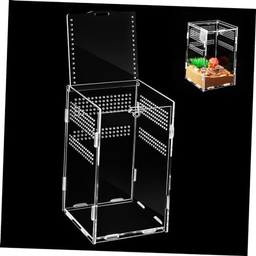 POPETPOP Spinnen Gehegebausatz Aus Robustem Acryl Einfach Installierbare Kompakte Reptilien Zuchtbox Geräumiges Terrarium Für Springspinnen Gottesanbeterin Und Eidechsen Leicht Und Tragbar