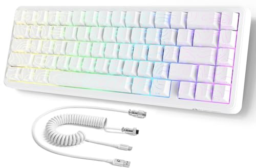 MAMBASNAKE ATTACK SHARK X65 HE Rapid Trigger-Tastatur, 0,01 mm RT-Genauigkeit, 8KHz, 60% kabelgebundene Magnetschalter-Tastatur mit 8KHz-Kabel, Einstellbare Betätigung,Snap Tap,für PC/Mac,Weiße Kontur