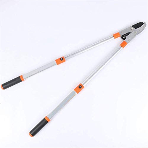 OLSKFUH Cesoie da Giardino Allungabili Manuali Cricchetto Telescopico Incudine Troncarami Cesoie per Potatura Alberi da Frutto Forbici Forti Rami Spessi Fiori Recisi Leggero E Salv,1PCS