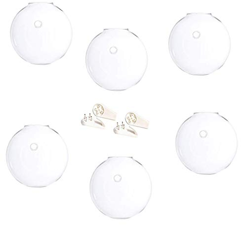 Tubayia - Juego de 6 jarrones de Cristal para Pared (hidrocultura, decoración de Pared)