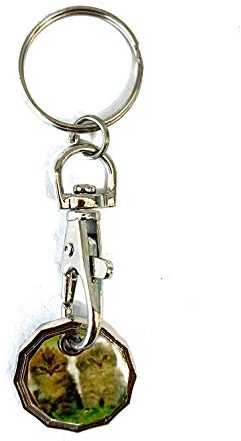 UK Phoenix Shopping Trolley Token 12 Sided New £1 Coin Key Ring Shape Locker Shop Market Supermarket Pound Coin Keychain Hook Reusable Handy Pound Token Gym Locker Troley