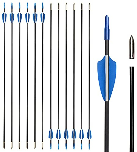 ZSHJGJR Bogensport Pfeile - 30 Zoll Glasfaser-Pfeile für Recurvebogen Training - Anfänger Pfeilset mit Gummifedern Empfohlen für Bögen bis 35 Pfund 12/24 Stück