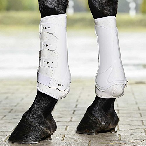 Busse Gamaschen Dressage-PRO