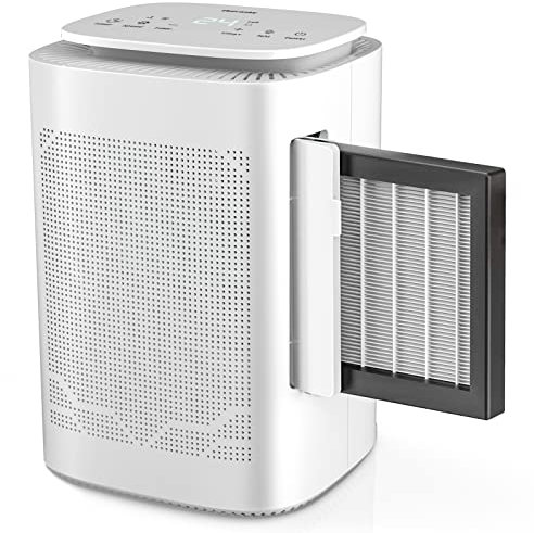 Thecosky Dehumidifier and Air Purifier Combo,HEPA H13 Filter and Negative Air Ion Function,54oz(1.6L) Water Tank with Drain Hose,24hrs Auto-Off Timer,Idea for Bedroom,Bathroom,Closet,RV