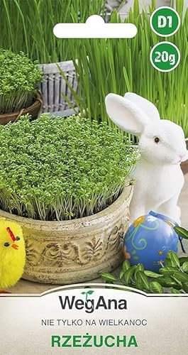 WegAna Pâques graines de cresson 20g, graines germées, graines de légumes robustes, graines de légumes, graines de culture, graines pour la serre