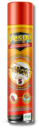 Briconess.com Insetticida Spray a Rapida Azione per vespe e calabroni Spray 750 ml