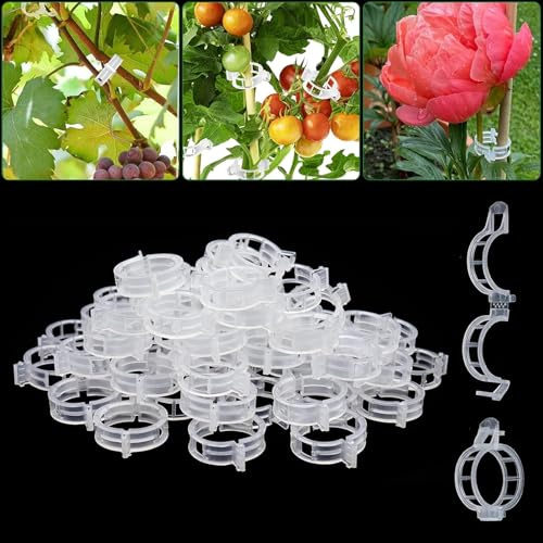 Xsybegdlk 100 Stück Plastic Plant Clip, 30 mm Mini Kunststoff Tomatenklammern, Kunststoff Tomatenklammern für Kletterpflanzen Halten Garten Pflanzen Blumen Gemüsefrucht(Weiß)