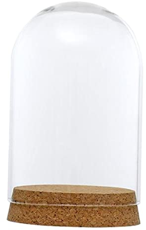 SM SunniMix Cúpula de Vidrio Campana de Cristal con Base Madera Florero Mesa Boda Decoración DIY - 8x12cm