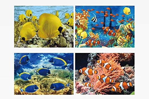 1x 3D Lesezeichen tropische Fische 15x5cm Tiere Wackelbild Wackelkarte Buchzeichen Bookmark Bücher Buch Fisch