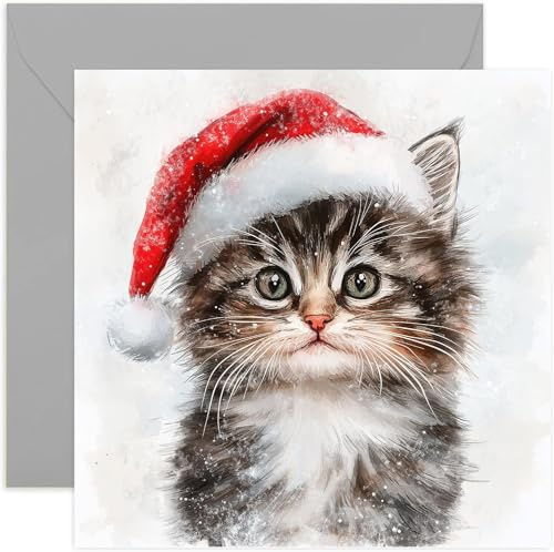 Weihnachtskarte mit Aquarell-Katzen-Motiv – Frohe Weihnachtskarten für Katzenbesitzer – niedliches Kätzchen im Weihnachtsmannmützen-Design – luxuriöse Weihnachtskarten für Familie und Freunde – Männer