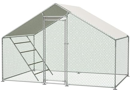Grande recinto, galline da 3 x 2 m, resistente all'inverno, con tettoia, serratura di sicurezza e scala di base, adatto per polli, conigli e uccelli