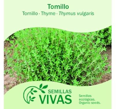 Semillas de Tomillo Fácil Germinación Planta Mediterránea Uso Aromático y Culinario