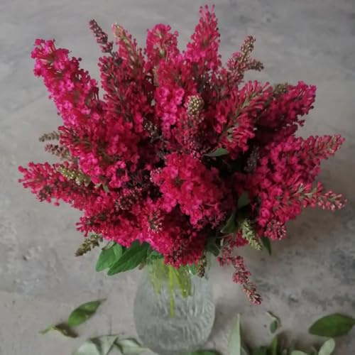 Semi di Buddleja davidii, semi di farfalle giardino arbusti esotiche da balcone giardino arbusti a crescita rapida decorazione da per esterni fioriti 500pcs