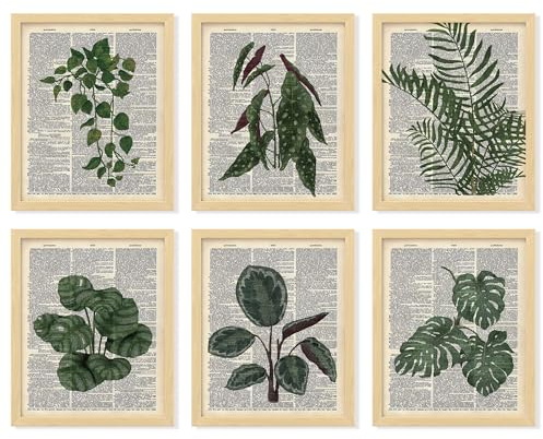 97 Decor Stampe artistiche da parete verdi – Stampa artistica da parete con immagini di piante, stampe botaniche vintage, poster con piante per l'estetica della stanza, pagine di libri, dizionario,