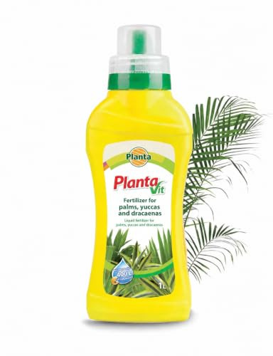 Palm Yucca and Dracaena Liquid Fertiliser Concentrate 1L NPK 7-3-5 | With Microelements, Foliar or Soil Use, Makes 400L Solution, For Pots and Gardens