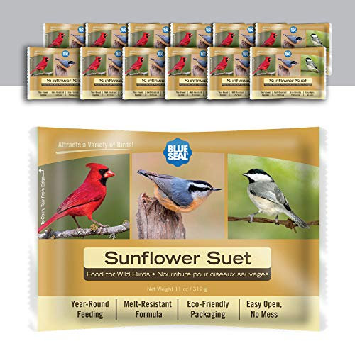 Blue Seal Torte di semi di girasole per uccelli selvatici, mangime senza pasticcio, cibo per picchi, cardinali, Siskins, passeri e altro ancora, 311,8 g, per torte di semi di uccelli, confezione da 12