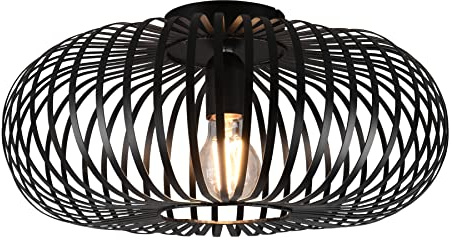 Trio Leuchten Deckenleuchte Johann 606900132, Metall Schwarz matt, exkl. Leuchtmittel 1x E27 |
