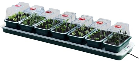 Oakland Gardens Super 7 Electric Windowsill Propagator | Heated Seed Starter Kit with 7 Mini Trays & Vented Lids | Indoor Seedling & Cutting Growing System