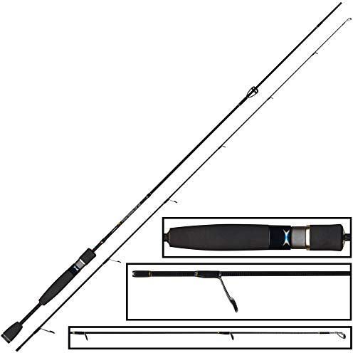 FTM Spoon XP 13 2,01m 1-4g Ultra Light Rute, Spinnrute für Forellen, Angelrute zum Spoonangeln, Forellenrute zum Spinnfischen