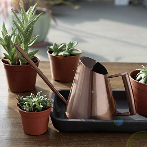 Aramox Succulente Becco Lungo Annaffiatoio, Annaffiatoio Rame Irrigazione per Piante da Interno Annaffiatoio Lungo Becco Stretto Bonsai da Interno Fiore Color Bronzo Giardinaggio