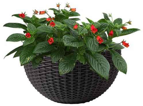 Pot de fleurs mural en imitation rotin pour d'intérieur - Conteneur élégant semi-circulaire pour orchidée, impatiens, bégonias, pothos, pétunias
